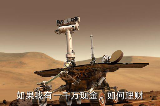 如果我有一千萬(wàn)現(xiàn)金，如何理財(cái)