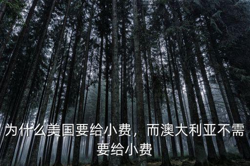 為什么美國要給小費(fèi)，而澳大利亞不需要給小費(fèi)