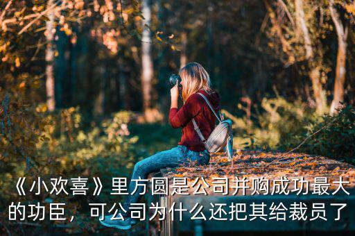 《小歡喜》里方圓是公司并購成功最大的功臣，可公司為什么還把其給裁員了