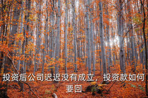 投資后公司遲遲沒有成立，投資款如何要回