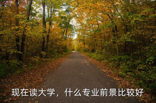 現(xiàn)在讀大學，什么專業(yè)前景比較好