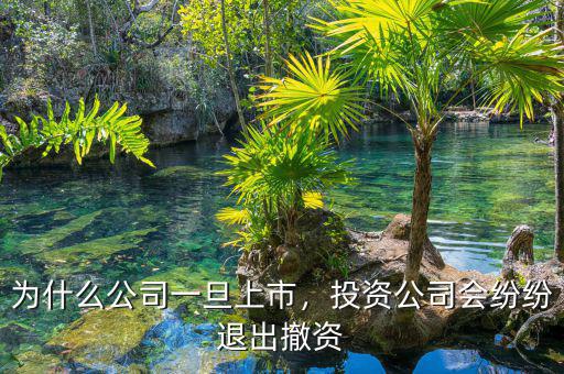 為什么公司一旦上市，投資公司會紛紛退出撤資
