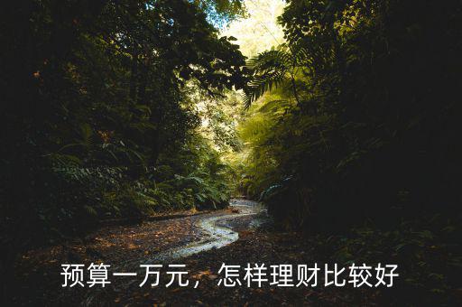 預算一萬元，怎樣理財比較好