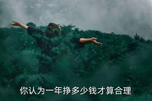 你認為一年掙多少錢才算合理