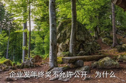 企業(yè)發(fā)年終獎不允許公開，為什么