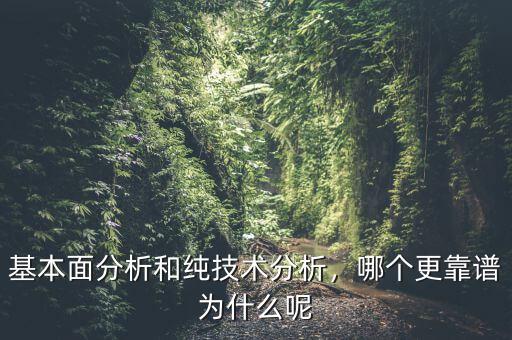 基本面分析和純技術(shù)分析，哪個(gè)更靠譜為什么呢