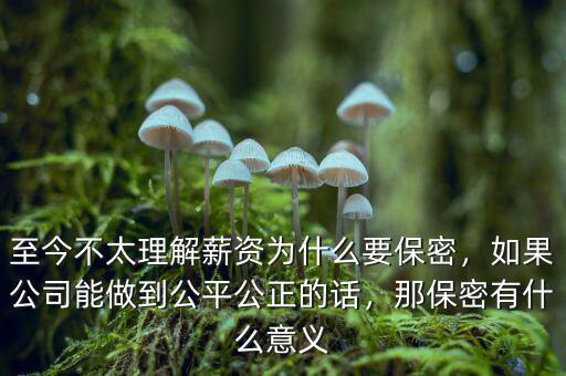 至今不太理解薪資為什么要保密，如果公司能做到公平公正的話，那保密有什么意義