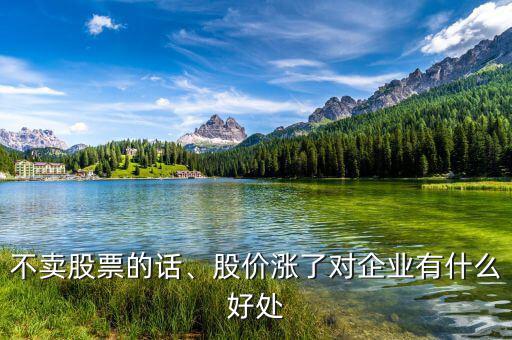 不賣(mài)股票的話、股價(jià)漲了對(duì)企業(yè)有什么好處