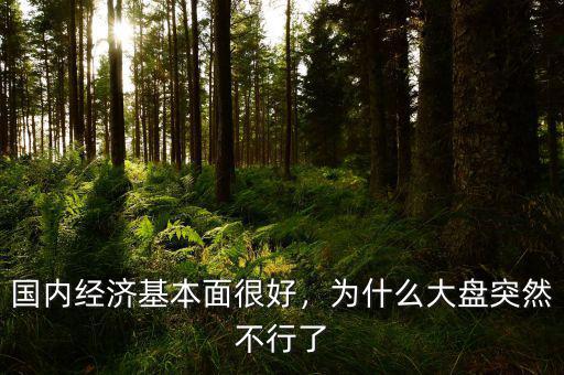 國內(nèi)經(jīng)濟基本面很好，為什么大盤突然不行了