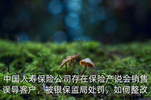 中國人壽保險公司存在保險產(chǎn)說會銷售誤導客戶，被銀保監(jiān)局處罰，如何整改
