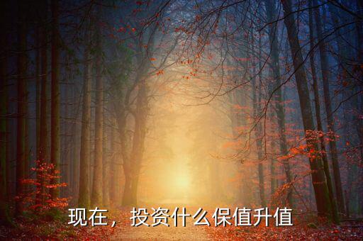 現(xiàn)在，投資什么保值升值