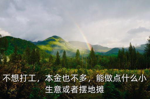 不想打工，本金也不多，能做點(diǎn)什么小生意或者擺地?cái)? class=