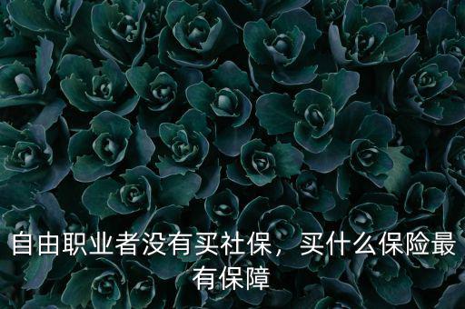 自由職業(yè)者沒有買社保，買什么保險(xiǎn)最有保障