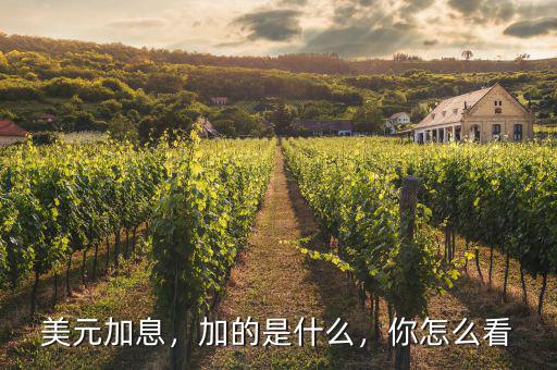 美元加息，加的是什么，你怎么看