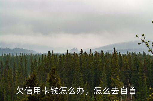 欠信用卡錢怎么辦，怎么去自首