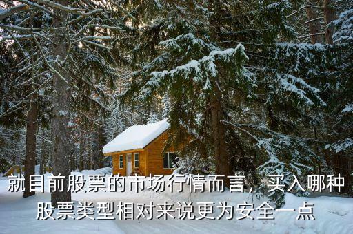 就目前股票的市場行情而言，買入哪種股票類型相對來說更為安全一點(diǎn)