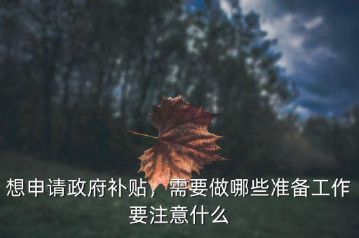 想申請政府補貼，需要做哪些準備工作要注意什么
