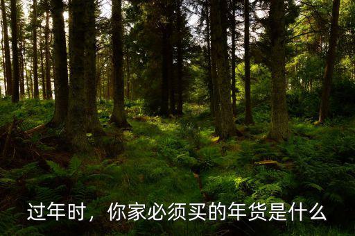 過(guò)年時(shí)，你家必須買的年貨是什么