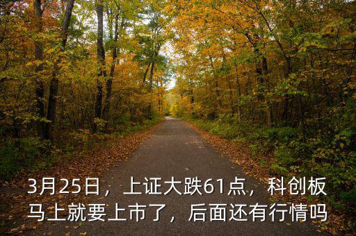 3月25日，上證大跌61點，科創(chuàng)板馬上就要上市了，后面還有行情嗎
