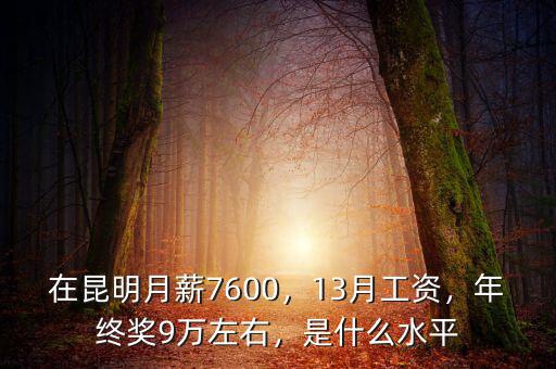 在昆明月薪7600，13月工資，年終獎9萬左右，是什么水平