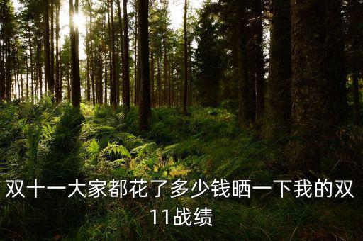 雙十一大家都花了多少錢曬一下我的雙11戰(zhàn)績(jī)
