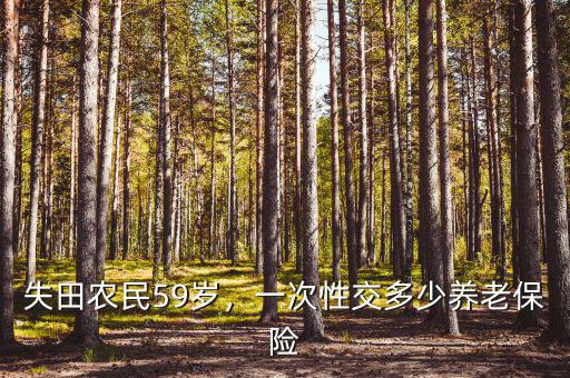 失田農民59歲，一次性交多少養(yǎng)老保險