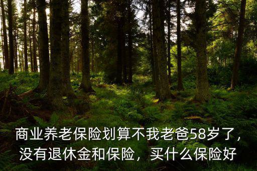 商業(yè)養(yǎng)老保險(xiǎn)劃算不我老爸58歲了，沒有退休金和保險(xiǎn)，買什么保險(xiǎn)好