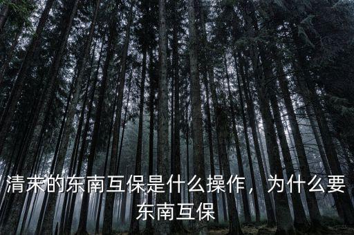 清末的東南互保是什么操作，為什么要東南互保