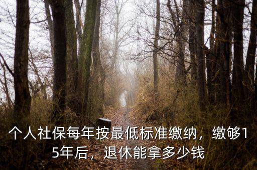 個人社保每年按最低標準繳納，繳夠15年后，退休能拿多少錢