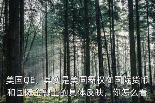 美國QE，其實(shí)是美國霸權(quán)在國際貨幣和國際金融上的具體反映，你怎么看