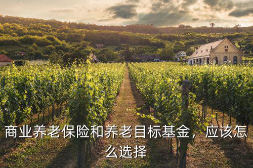 商業(yè)養(yǎng)老保險(xiǎn)和養(yǎng)老目標(biāo)基金，應(yīng)該怎么選擇