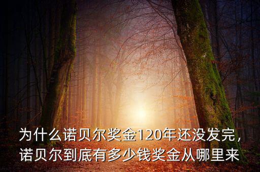為什么諾貝爾獎(jiǎng)金120年還沒發(fā)完，諾貝爾到底有多少錢獎(jiǎng)金從哪里來(lái)