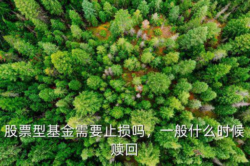 股票型基金什么時(shí)候賣(mài)出,股票型基金需要止損嗎