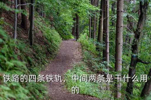 鐵路的四條鐵軌，中間兩條是干什么用的