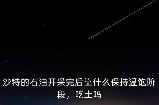 沙特的石油開采完后靠什么保持溫飽階段，吃土嗎