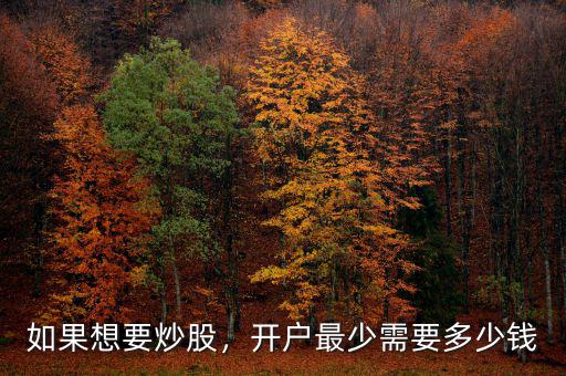 如果想要炒股，開(kāi)戶最少需要多少錢(qián)