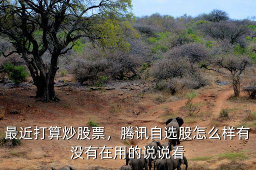 最近打算炒股票，騰訊自選股怎么樣有沒有在用的說說看