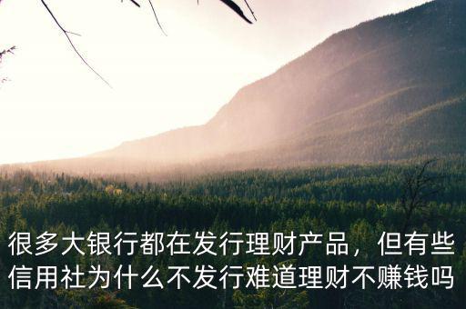 很多大銀行都在發(fā)行理財(cái)產(chǎn)品，但有些信用社為什么不發(fā)行難道理財(cái)不賺錢嗎