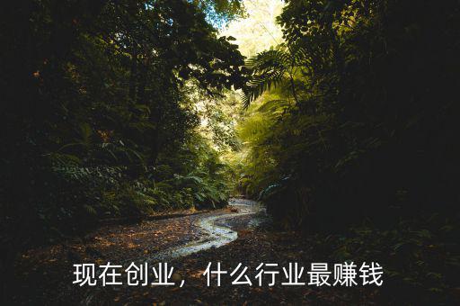 現(xiàn)在創(chuàng)業(yè)，什么行業(yè)最賺錢