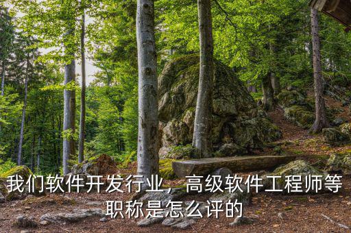 我們軟件開發(fā)行業(yè)，高級軟件工程師等職稱是怎么評的