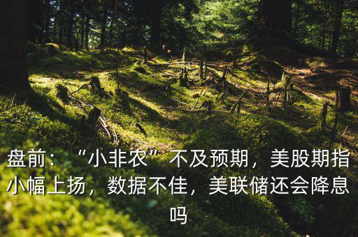小非農(nóng)數(shù)據(jù)是什么意思,小非農(nóng)不及預期