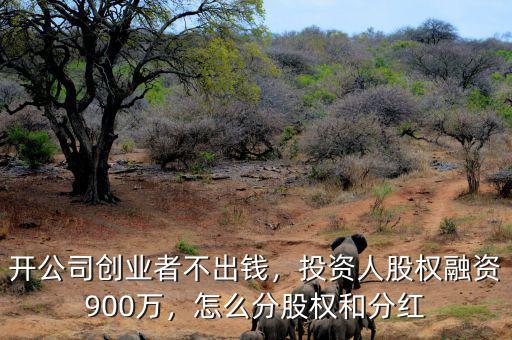 開公司創(chuàng)業(yè)者不出錢，投資人股權(quán)融資900萬，怎么分股權(quán)和分紅