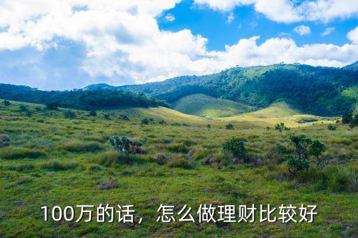 100萬(wàn)的話，怎么做理財(cái)比較好