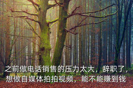 之前做電話銷售的壓力太大，辭職了，想做自媒體拍拍視頻，能不能賺到錢