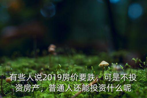 有些人說2019房價要跌，可是不投資房產(chǎn)，普通人還能投資什么呢