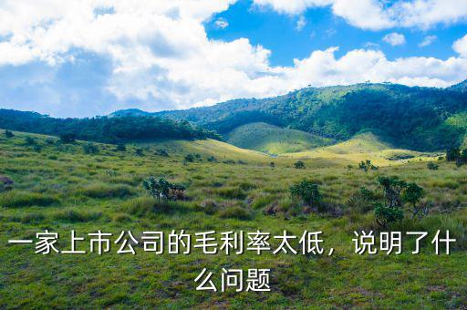 一家上市公司的毛利率太低，說明了什么問題