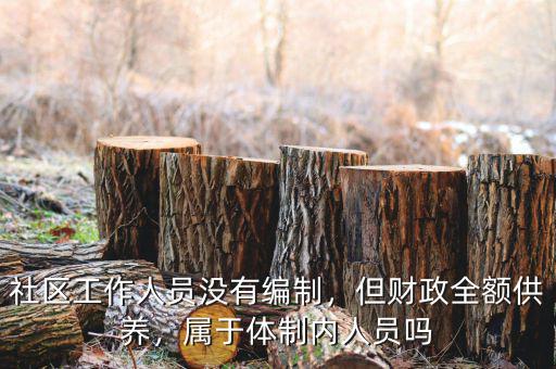 社區(qū)工作人員沒(méi)有編制，但財(cái)政全額供養(yǎng)，屬于體制內(nèi)人員嗎