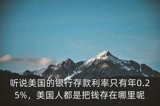 聽說美國的銀行存款利率只有年0.25%，美國人都是把錢存在哪里呢