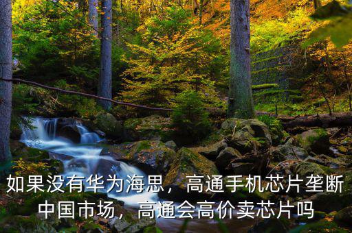 高通怎么壟斷了,高通手機(jī)芯片壟斷中國市場(chǎng)