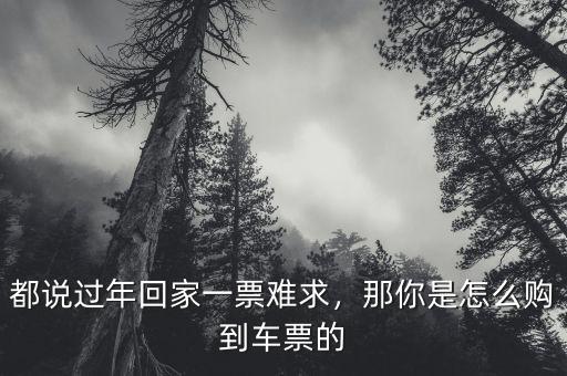 都說過年回家一票難求，那你是怎么購到車票的